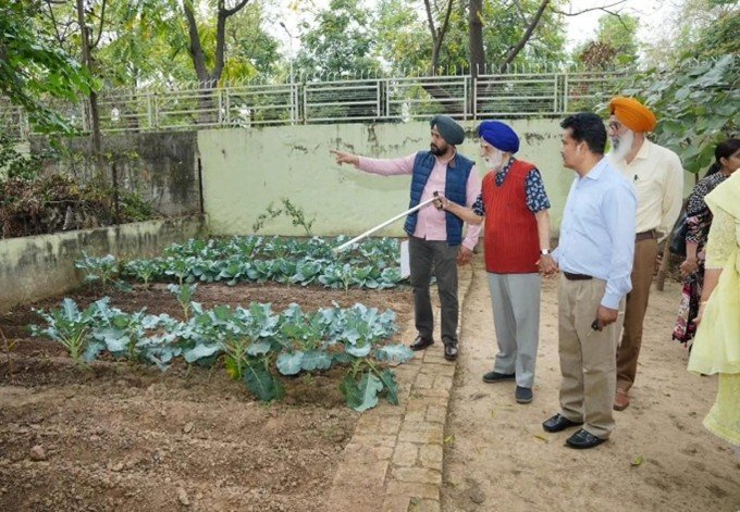 Observing organic farming